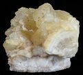 Dogtooth Calcite Crystal Cluster - Morocco #57386-1